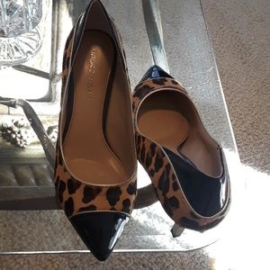Antonio Melani leopard heels